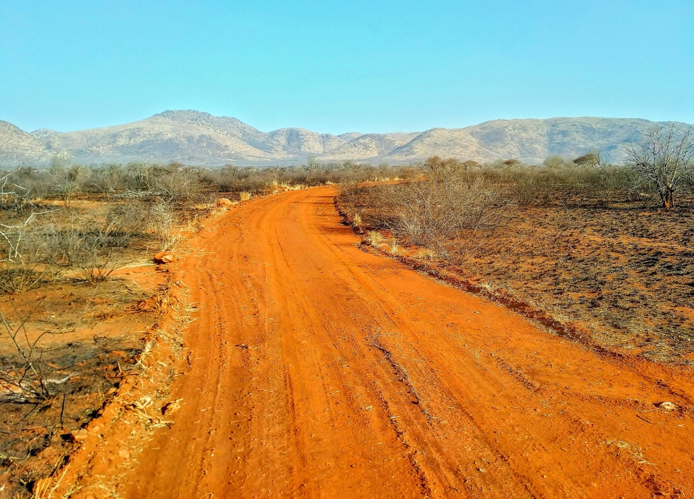 pilansberg south africa