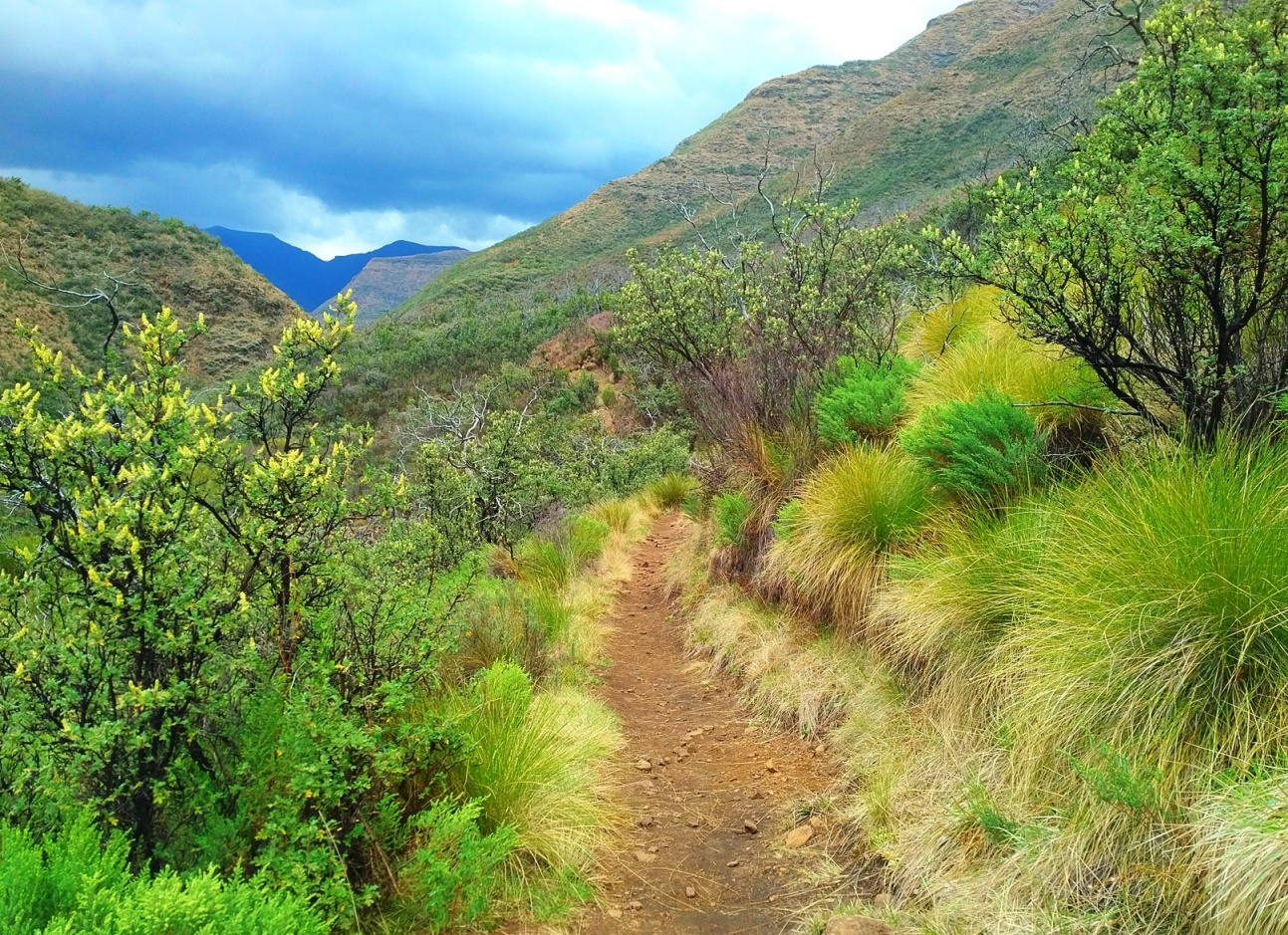 losotho hiking