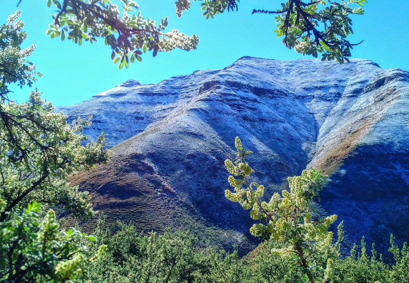 lesotho snowy mountains