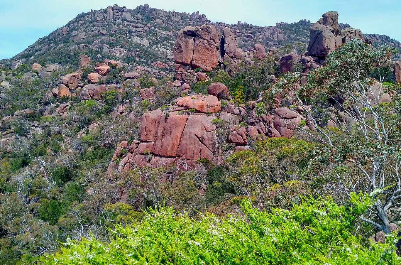 Freycinet National Park