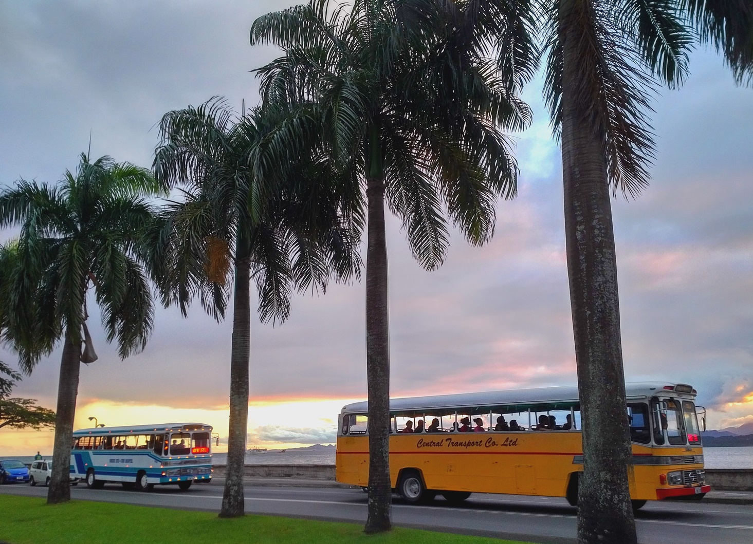 suva buses