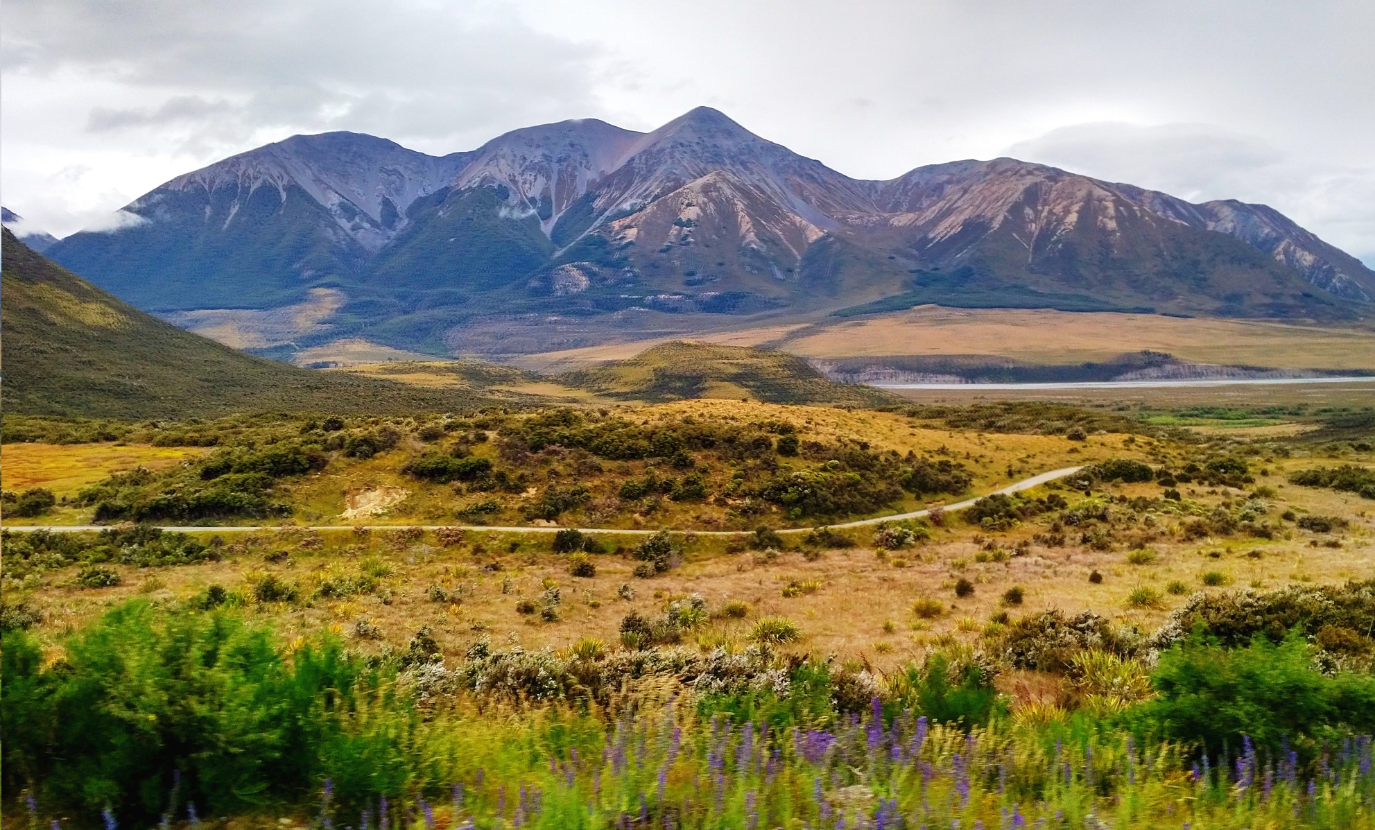 tranzalpine scenery new zealand